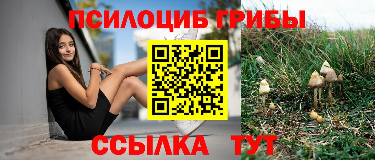как найти закладки  Галлюциногенные грибы Cubensis  Ростов-на-Дону  Вход с VPN  Псилоцибиновые грибы Psilocybine cubensis 
